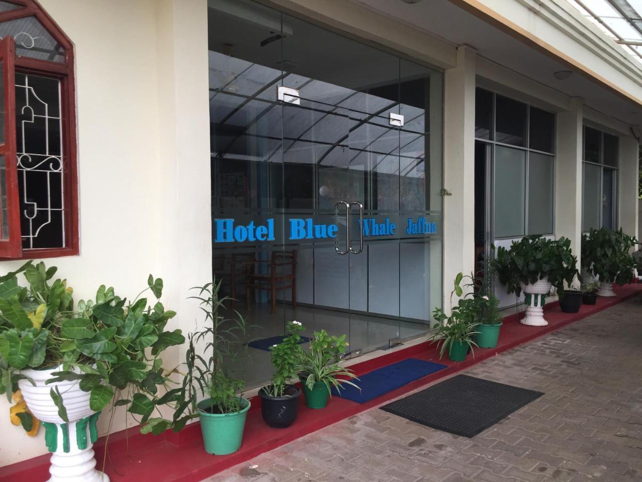 Hotel Blue Whale Jaffna Eksteriør bilde
